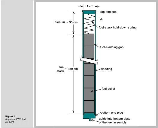 Figure  1   A generic LWR fuel 