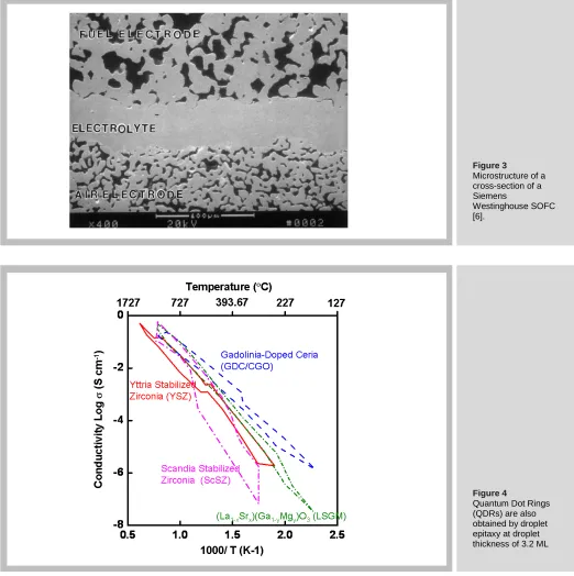 Figure 3 Microstructure of a 