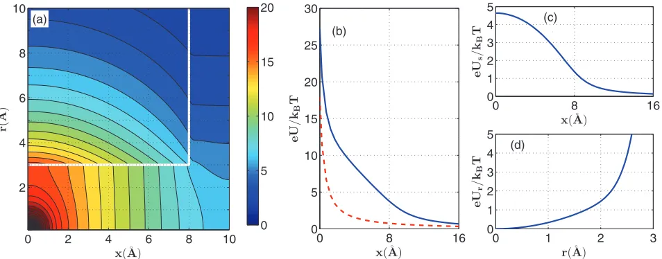 FIG. 2. (Color online) Polarization effects in the generic model of ion channel. (a) Electrostatic potential map axis, illustratingto induced polarization charge that appears at the water-protein interface