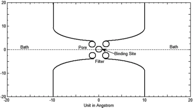 FIG. 2. A simpliﬁed Ca channel geometry with baths, pore, ﬁlter, and binding site. The channel is placed in a cubic box with the length of each sidebeing 40 Å.
