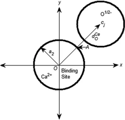 FIG. 4. A 2D sketch of the binding site with radius a2 and a neighboringO1/2−. The distance between the centers of the binding site and any O1/2−ion is denoted by DCaO .