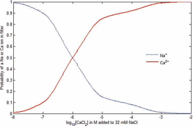 FIG. 5. Binding curves. The Na+ and Ca2+ binding curves are comparable with Monte Carlo results21 and show the probability change of a Na+ or Ca2+ ionin the ﬁlter as the concentration of CaCl2 from 10−8 M to 10−2 M is added to the ﬁxed [NaCl] = 32 mM in the baths.