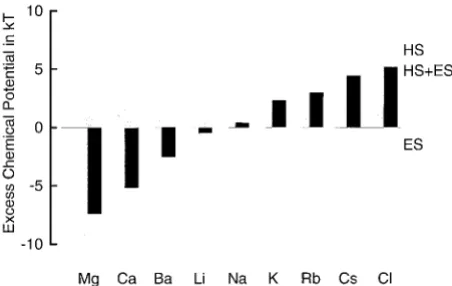 FIGURE 6Determinants of selectivity in the hypothesized filter. Excessbutions (ES, shown incomputed for a filter saturated with Cachemical potentials (black columns) are the algebraic sums of hard-spherecontributions (HS, shown in dark gray columns) and el