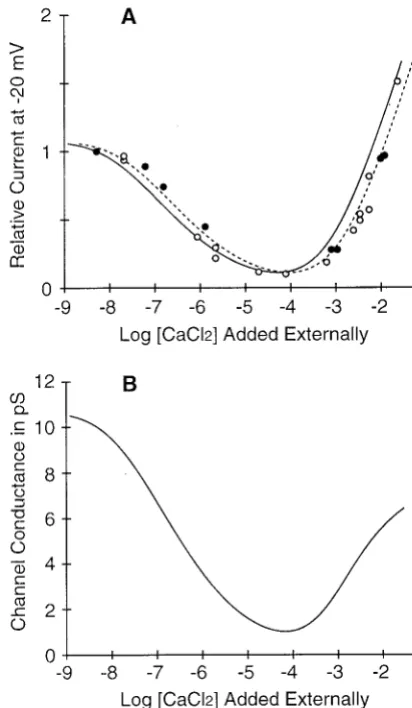 FIGURE 3Selective ion binding incorporated in a model of conduction.dicted channel conductance