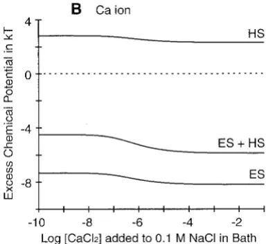 Fig. 4 shows how electrostatic screening (ES) and excludedvolume effects among hard spheres (HS) contribute to thecharges on Nabutions are different enough to produce a substantial differ-ence in the overall excess chemical potential and binding.The overal