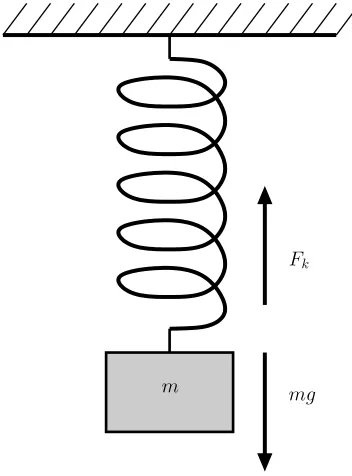 Figure 3.1: Mass attached to a Hookean spring