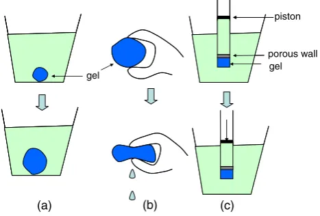 Fig. 1(a)]. An example of this type of gel is the small beads