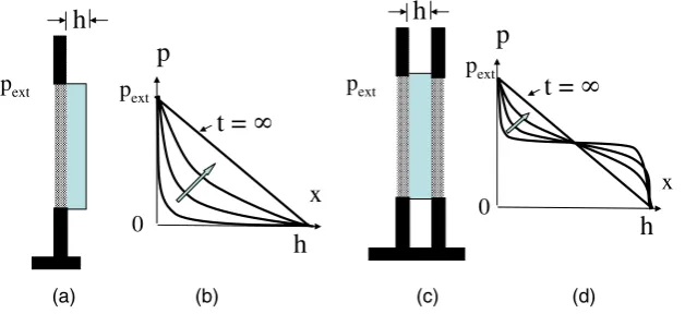 Figure 6(c) shows a schematic diagram of the time
