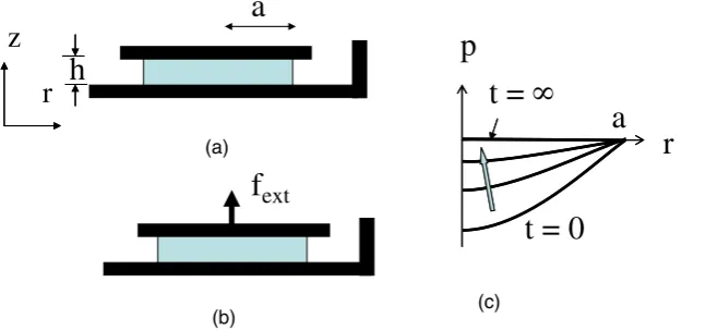 Fig. 9.(Color online) (a) The top and bottom sidesof a disklike gel are glued to a rigid impermeablewall, and the gel is allowed to swell