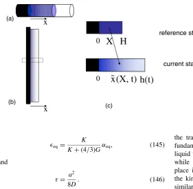 Fig. 10.(Color online) (a) An Examples realizingvolume transition in one dimension. A cylindricalgel is allowed to swell in a tube