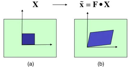 Fig. 3.(Color online) Deﬁnition of the free energy density for gels (a):Reference state and (b) current state.