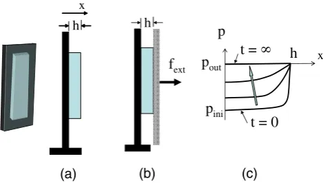 Fig. 6.(Color online) (a) Swelling of a constrained gel: a thin gel sheet ofthickness h is glued to a rigid wall and is allowed to swell