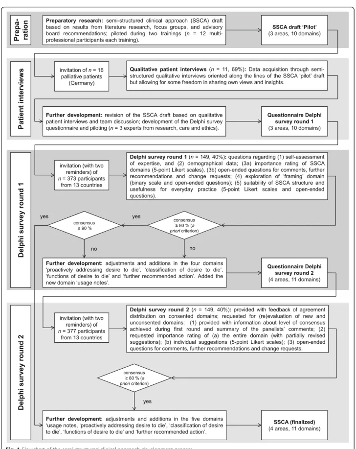 Fig. 1 Flowchart of the semi-structured clinical approach development process