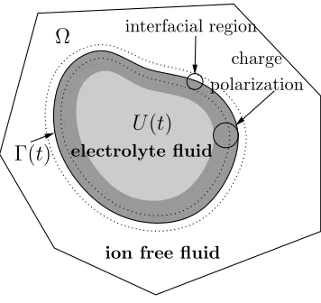 Figure 3.1. Two phase ﬂuid model of electrolyte droplet.