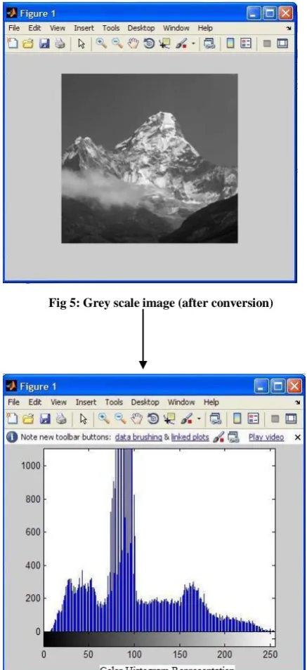 Fig 5: Grey scale image (after conversion) 
