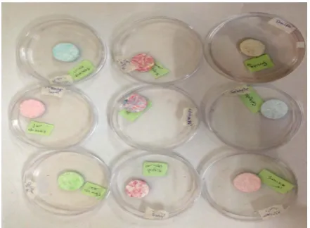 Figure 1. Shows samples covered with nuclear track detector (CR-39).                                               