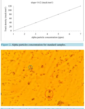 Figure 3. Shows the etched track in sample No. 3, which we obtain from opti-cal microscope