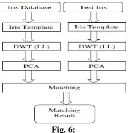 Fig. 6:  