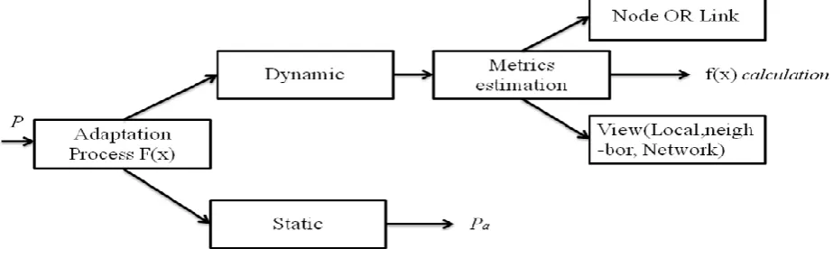 Fig 1: Elements of adaptation process 