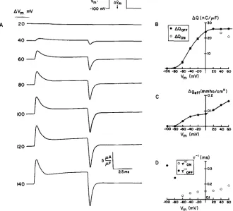 Fig. 4 B shows the dependence of computed charge movement on the potential across the surface membrane