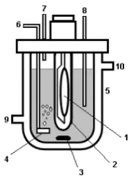 Figure 2. Schematic representation of the conventional photo-chemical reactor (1-mercury vapor lamp; 2-quartz bulb; 3- magnetic bar; 4-O3 disperser; 5-cooling jacket; 6-inlet O3; 7-gas outlet; 8-sample removal