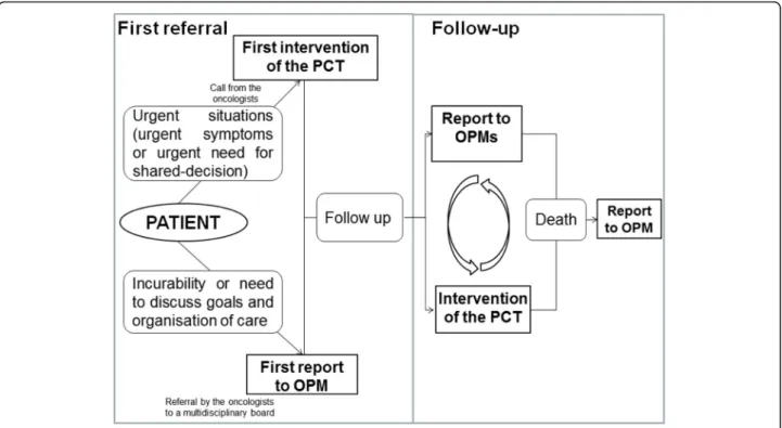 Fig. 1 Organization of the integrated oncology and palliative care program (IOPC)