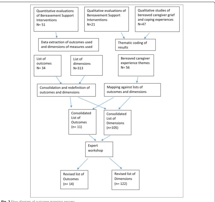 Fig. 2 Flow diagram of outcome mapping process