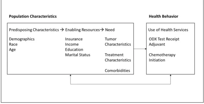 Figure 1. Andersen's behavioral model (adapted) for health care utilization informed empirical models  for Aims 1 and 2.[1] 