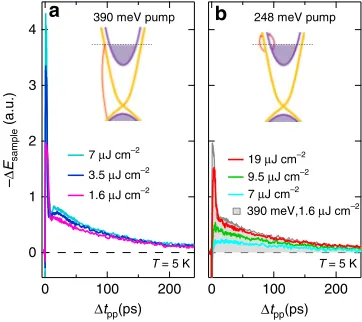 Fig. 6 Ultrafast THz dynamics under interband and intrabandfrompump-probe delayphotoexcitations at variousphotoexcitations