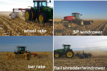 Table 1. Windrowing treatment experimental data 