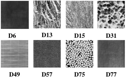 Figure 2: Brodatz images used in this work  