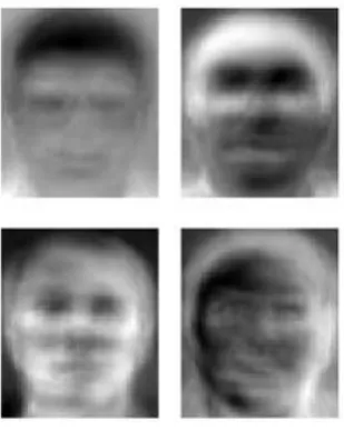 Fig 1. An example displaying a set of Eigen Image 