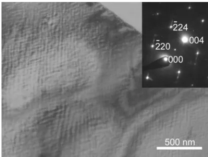 Figure 5 shows a TEM micrograph taken of the 