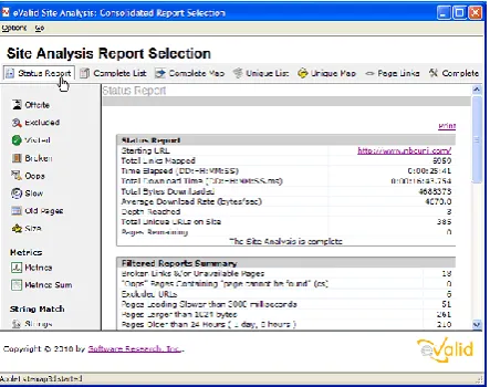 Figure 4  Size Analysis Report 