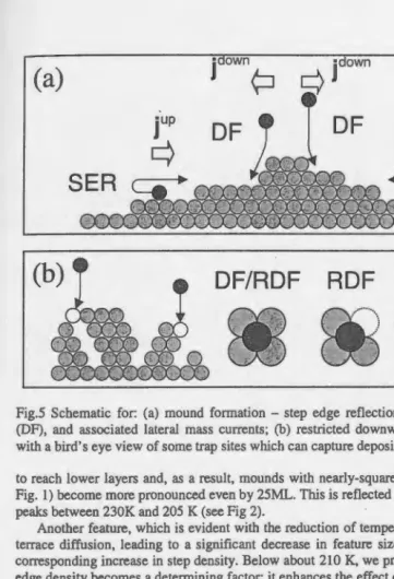 Fig.5 Schematic for: (a) mound formation - step edge reflection (SER), downward funneling (DF), and associated lateral mass currents; (b) restricted downward funneling (RDF) together 