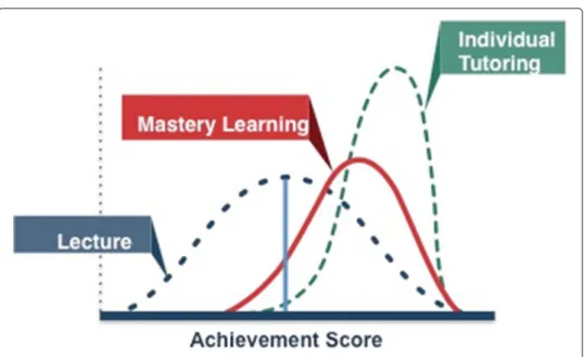 Fig. 3 Individualized instruction learning gains