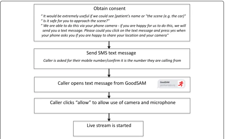 Fig. 1 Process of obtaining live video from scene