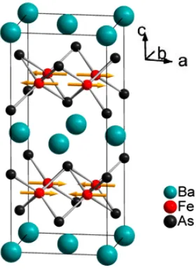 Figure 4.11: Magnetic structure of BaFe2As2. The magnetic moment is 0.83(3) μB / Fe.[62] 