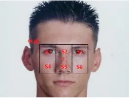 Figure 2 shows an ideal location of the SSR filter, where its centre is considered as a face candidate