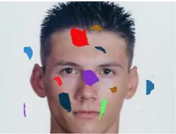 Figure 5: Clusters of face candidates and their centres. 