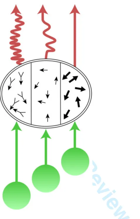 Figure  6:  An  illustration  of  asynchronous  inputs  (green),  asynchronous  processing  (centre)  and  asynchronous  outputs  (red)  from  an  area,  in  this  instance V5