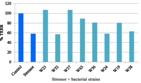 Figure 1. Effect of strains present in Ecologic® BARRIER on cytokine induced barrier dysfunction after 24 hours incubation with TNF-α and IL-1β