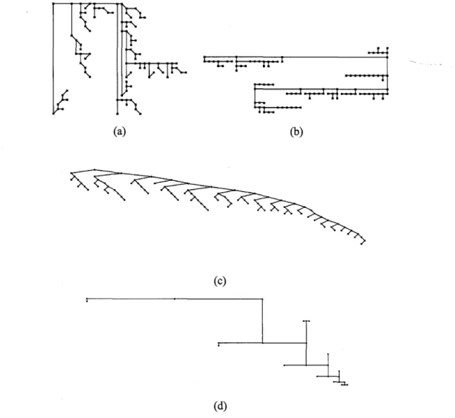 Figure 2.3:  Drawings  of an unbalanced-to-the-right  binary tree  with  100  nodes  generated  by  the algorithms  in our study:  (a) Separation,  (b) Path, (c)  Level,  and (d)  Rings