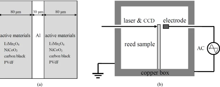 Figure 1. (a) Schematic diagram of the positive-electrode structure; (b) Elastic parameter measure-ment system of the positive-electrode reed sample