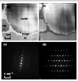 Figure 2. Element mappings on the surface of the active materials of the positive electrode