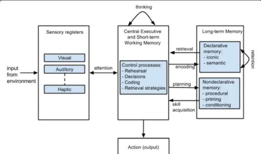 Figure 1 The modal model of the architecture of human information processing (adapted from Ashcraft and Radvansky 2010 p.38).