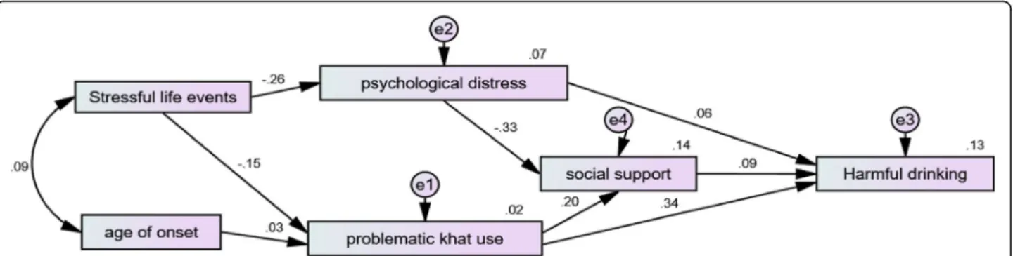 Fig. 2 The path diagram with standardized path coefficient of exogenous and endogenous variables for harmful alcohol drinking
