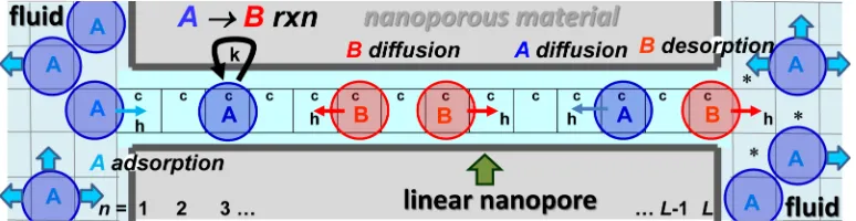 FIG. 1. The spatially discrete stochastic model for catalytic conversion in linear nanopores