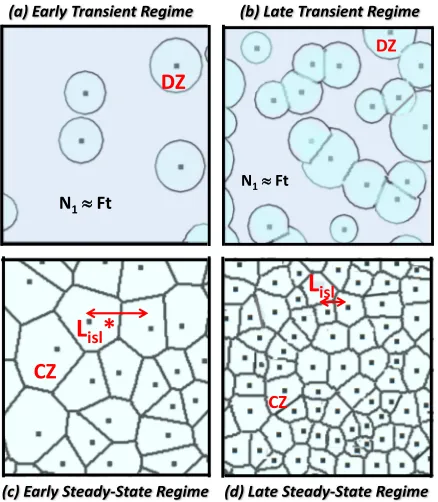 FIG. 2. A schematic of key stages of nucleation and growth for irreversibleisland formation