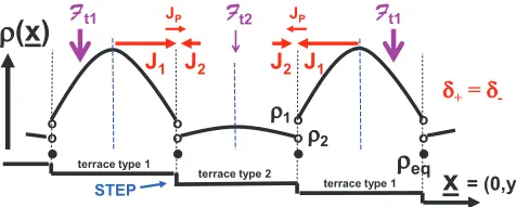 FIG. 1. 1D schematic of adatom density and diffusion ﬂux